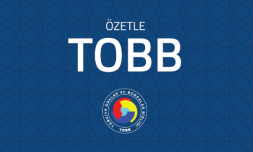 Özetle TOBB Kitabı