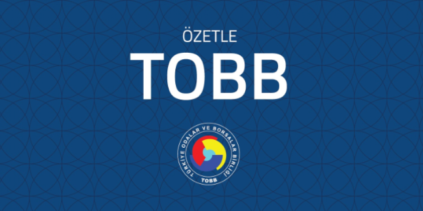 Özetle TOBB Kitabı