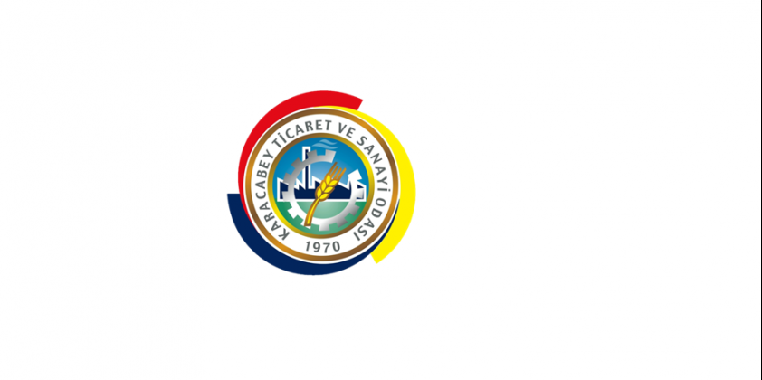 Sokağa Çıkma Kısıtlaması İzin Formu