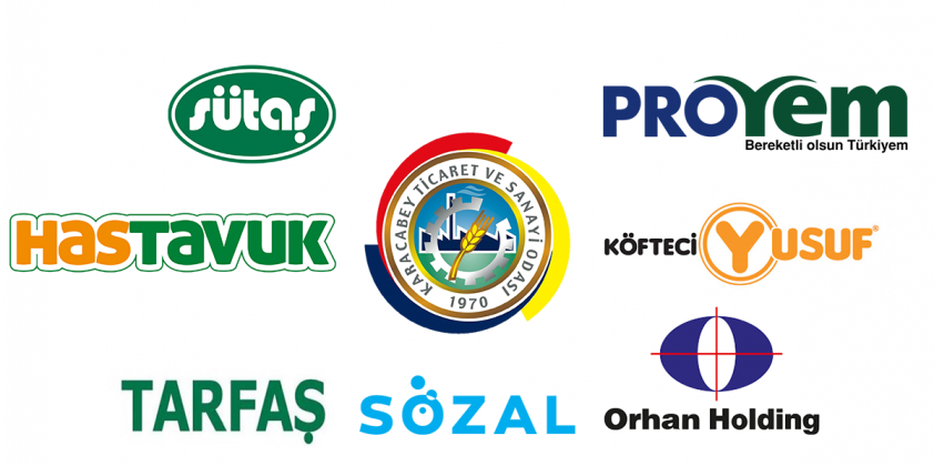 Anadolu’nun En Büyük 500 Şirketi